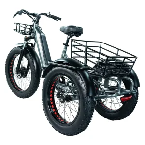 24 Inch Electric Cargo Bike With Fat Tire Off-road 750W Electric Tricycle With Removable Battery