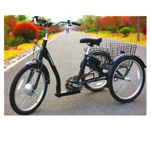24 Inch Electric Cargo Tricycle with Big Rear Basket Shimano 7 Speed Classic Adult