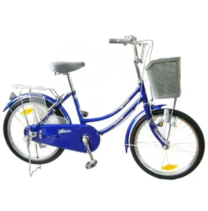 24-Inch Light Steel Lady’s City Cargo Bicycle Single Speed Women’s Bike with Brake Line Braking System