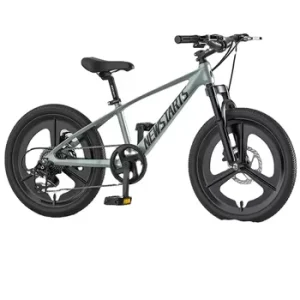 24 Inch Mountain Sports Youth Bike Grey Variable Speed Mountain Bicycle Kids for Boys Girls