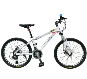 24-Inch Steel Mountain Bike for Adults with 21 Speeds and Brake Line