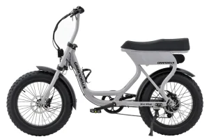 EU and US Stock Hybrid Electric Bicycle 250W City Lithium Battery 20-Inch Fat Tires