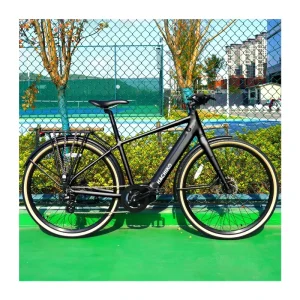 Electric Hybrid Bicycle 250W Mid-Drive Motor 36V 14Ah Lithium Battery Cargo Electric Bicycle City Bicycle