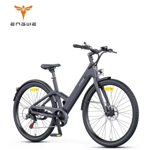 250W 36V 10Ah Carbon City Electric Bicycle with Front Light, Roaming Step-Through Electric Hybrid City Bike