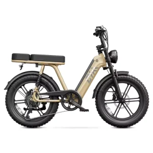 Fashionable 250W Women’s and Men’s Electric Hybrid Bicycle, 48V 15Ah Battery, EN15194 City E-Bike, 20-Inch x 4.0 Fat Tires