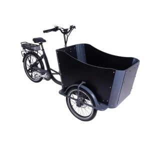 250W 500W Electric Cargo Bicycle Front Loading Dutch Cargo Ebike 3 Wheel Family Use E Cargo Bike Carry Kids