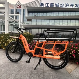 250W Brushless Mid Drive Motor 48v 15ah Aluminum Long Tail Cargo Electric Bike for Kids