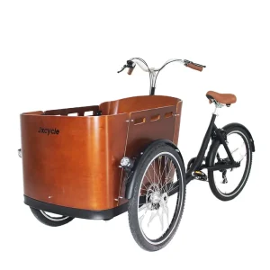 250W Electric Cargo Bike for Family Used Cargo Kids Bike