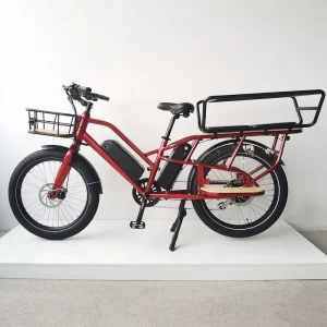 250W Long Range E Bike Cargo Bikes for Carrying Kids Electric Cargo Bike for Family