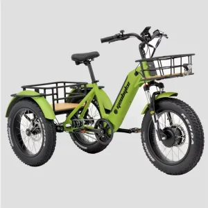 250W Rear Motor Tricycle Trike 3 Wheel Electric Bike Tricycles 3 Wheel Electric Cargo Bike E-bike Bicycle
