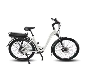26*2.1-inch Women’s Style Powerful Motor Electric Hybrid Bicycle