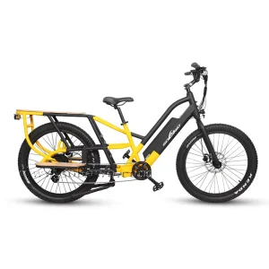 26*4.0/27.5*3.0 Big Tires Long Carry Capacity Two Wheels Electric Cargo Bike