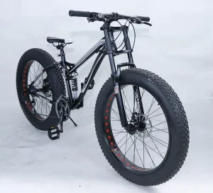 26 Inch 21 Speed Full Suspension Steel Frame Fat Tire Mountain Bike Bicycle