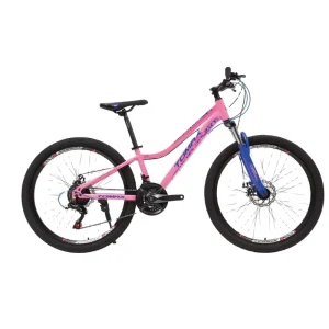 26 Inch 21 Speed Steel Mountain Bike Women’s MTB Bicycle