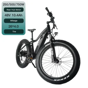 26 Inch Aluminum Alloy E Bike for Rear Hub Motor Lithium Hydraulic Disc Brake 7 Speed Mountain Bike for Teens Adults