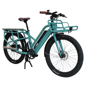 26 Inch Electric Aluminum Cargo Bike/Cargo Bicycle