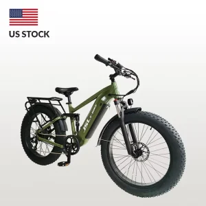 26 Inch Fat Tire E bike 750W Rear Motor 48V 20Ah Electric Bike for Adults