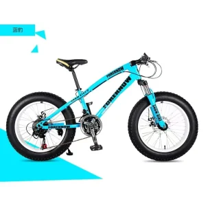 26 Inch Men’s Adult Accord Mountain Bike Fat Tire Bicicleta