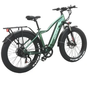 26 Inch Motor Electric Bicycle Fat Tire Electric Mountain Bike for All Road Riding