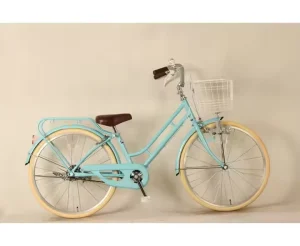 26 Inch Single Speed Steel Frame City Bicycle Urban Bike with Comfortable Ride