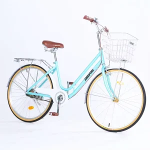 26 Inch Steel City Bike for Ladies