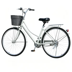 26 Inch Women’s Mountain Bike Old Style 21 Speed Classic Lady’s Bike Aluminum Alloy Fork Brake Line New