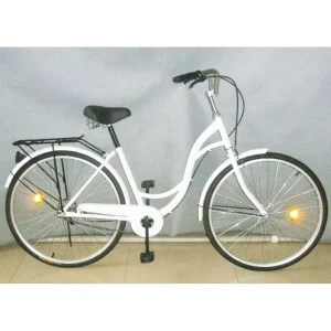 26″ Vintage Steel City Bike Women Bikes Lady Cycling in China