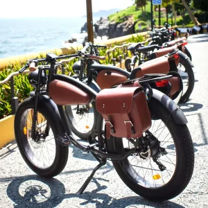 26-Inch Fat-Tire Electric Beach Bike 750W-1000W High-Power Snow Electric Cruiser Bike