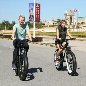 26inch Fat Bike Snow Bike