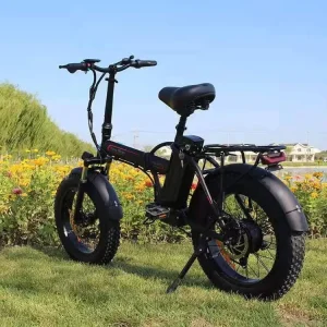 27″ 750W Fat Tire Cruiser Electric Bike Folding Electric Bicycle 10 Black Customized Logo Lithium Battery 48V 20″
