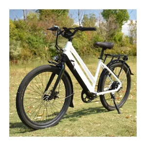 City Model 27.5 36V 250W Electric Hybrid Bicycle, Electric City Bike