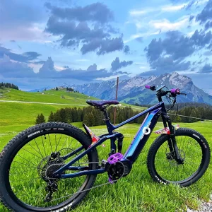 27.5Inch E Bike 1000W Bafang Ultra Ebike Frame M620 G510 Mid Motor Downhill 29Inch Aluminum Electric Bicycle Full Suspension