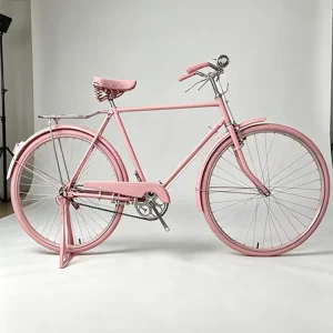 28″ Retro Cruiser Bike Classic Style 6-Speed Single Speed 48T Chainring Steel Frame Aluminum Rim Rear Rack 200kg Load Capacity