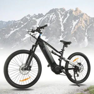 29” Electric Mountain Bike Full Suspension M560 750W M620 1000w Mtb E Bike for Adults