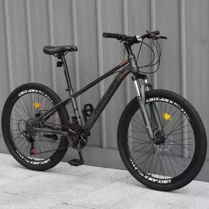 29 Inch 21/27 Speed Mountain Bike Man Bicycle New Model Adult Bike