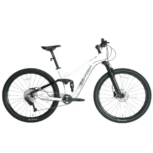 29 Inch Aluminum Alloy 6061 Bicycle Full Suspension Mountain Bike with 11 Speed and Hydraulic Disc Brakes
