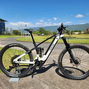 29 Inch Carbon E MTB 48V E Bike 840Wh Lithium Battery Full Suspension Mountain Bafang Mid Motor 250W 500W Men Mountain Bike