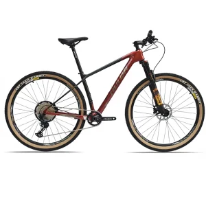 29 inch Carbon Fiber Mountain Bike with a Fully Hidden Internal Track and 12 speed Mountain Bike
