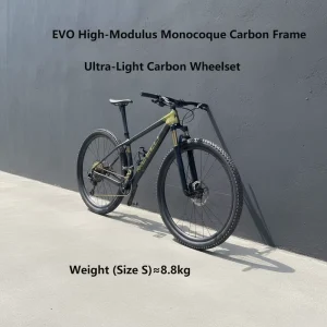 29er Full Carbon Fiber Hardtail MTB 12 Speed Ultra Light Cross Country Racing Mountain Bike with Ordinary Pedals