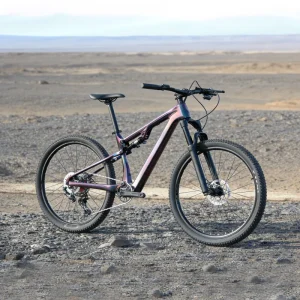 29er Mountain Bike Bicicleta De Montana 29 Inch Full Suspension Carbon Fiber Bicycle with 12 Speeds