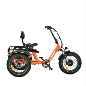 3 Wheel 48V Electric Bike with Fat Tire Saddle Can Move Back Forth Adult Electric Tricycle Bicicleta Electrica Trike
