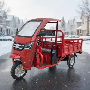 3 Wheel Agricultural EEC Electric Motorcycle Electric Tricycle for Adults