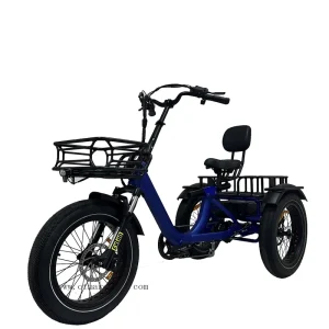 3 Wheel Aluminum Alloy Lithium Battery Rear Drive Electric Tricycle Cargo 750W 1000W Fat Tire Suspension Front Fork 7-Speed