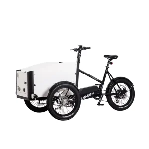 3 Wheel Cargo Bike Heavy Duty Large Capacity Trike for Urban Delivery