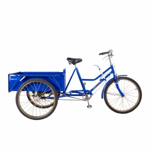 3 Wheel Cargo Bike for Older Tricycle City Bike
