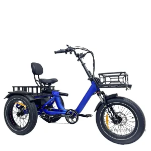 3 Wheel Cargo Electric Bike Long Range Dual Electric Trike 48V Lithium Battery Power Supply Aluminum Alloy Frame Rear Hub Motor