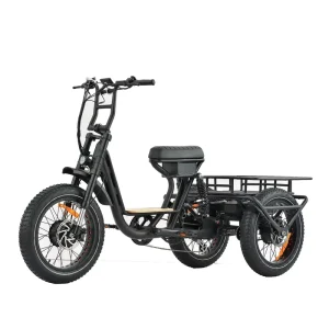 3 Wheel Drive 20 Inch X 4.0 Fat Mountain Tire 48V 750W Lithium Battery Electric Cargo Tricycle Aluminum Alloy Frame 7 Speed
