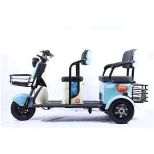 3 Wheel Electric Bike 600W Family Use Vintage Cargo Ebike Electric Tricycle for Adults