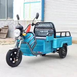 3 Wheel Electric Bike Ebike Electric Tricycle Multifunction Family Use Cargo Electric Delivery