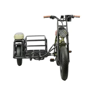 3 Wheel Electric Bike Hydraulic Brakes for Electric Tricycles Robust Aluminum Alloy Frame Cargo Tricycle